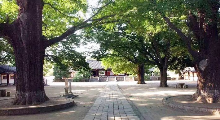 平壤、開(kāi)城、板門(mén)店雙臥三日游